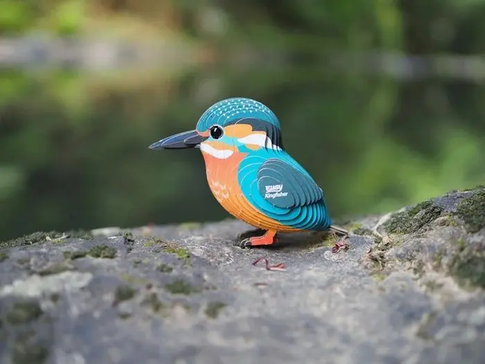 Bild: 9421036940428 | EUGY - 3D Bastelset Eisvogel | Kit (Bastelset) | 2025 | EUGY