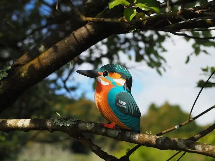Bild: 9421036940428 | EUGY - 3D Bastelset Eisvogel | Kit (Bastelset) | 2025 | EUGY