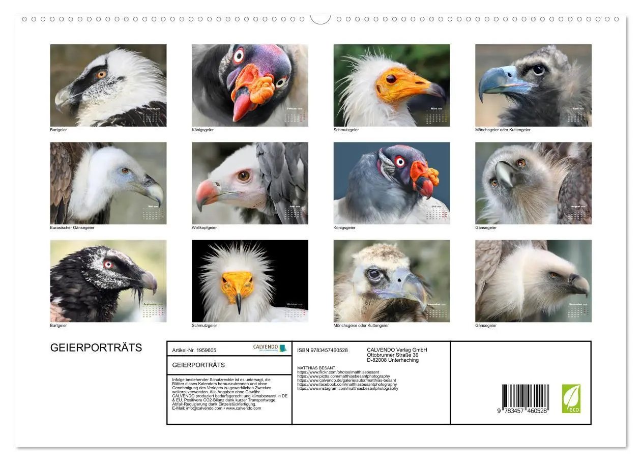 Bild: 9783457460528 | GEIERPORTRÄTS (hochwertiger Premium Wandkalender 2026 DIN A2 quer),...