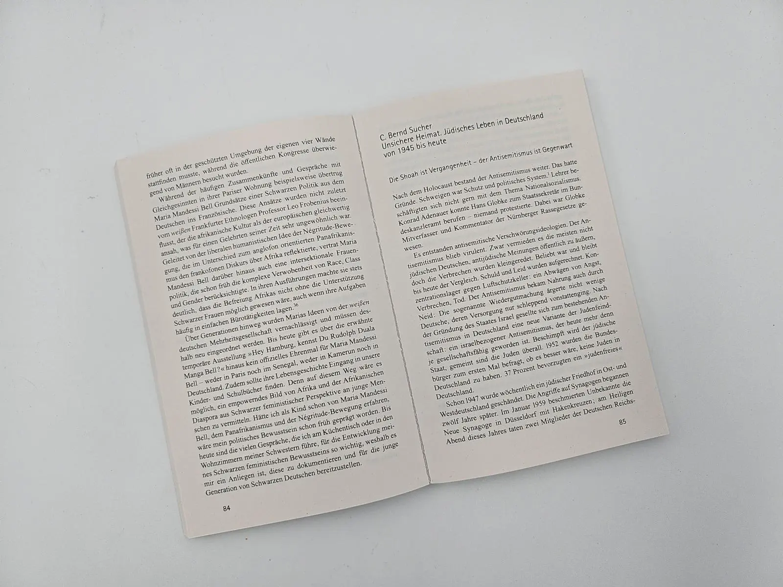 Bild: 9783492320528 | Denkanstöße 2025 | Isabella Nelte | Taschenbuch | Denkanstöße | 208 S.
