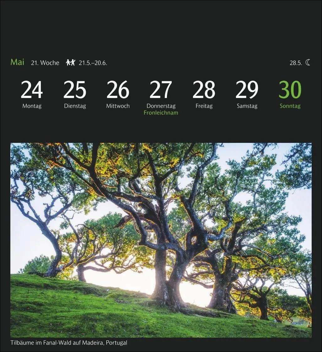 Bild: 9783840040528 | GEO Magische Natur Postkartenkalender 2027 - Wochenkalender mit 53...