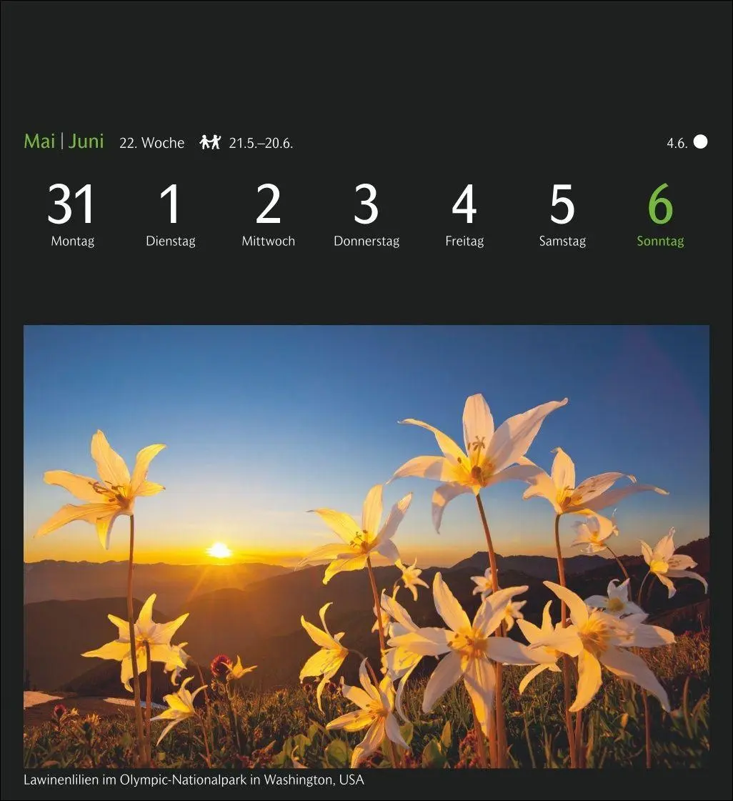 Bild: 9783840040528 | GEO Magische Natur Postkartenkalender 2027 - Wochenkalender mit 53...
