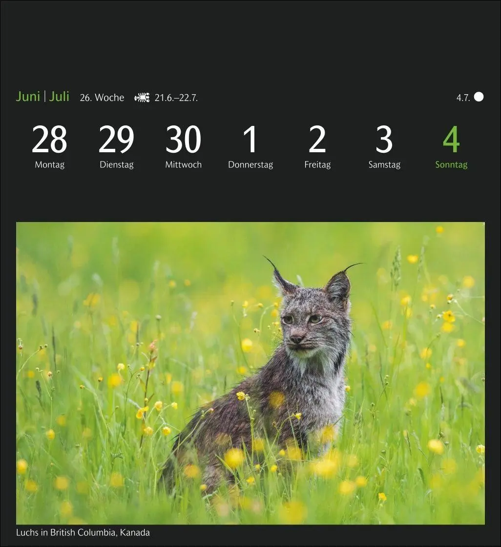 Bild: 9783840040528 | GEO Magische Natur Postkartenkalender 2027 - Wochenkalender mit 53...