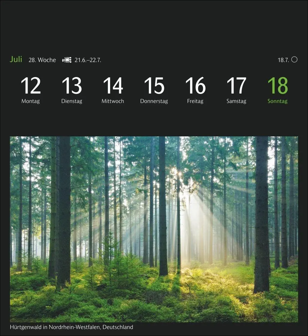 Bild: 9783840040528 | GEO Magische Natur Postkartenkalender 2027 - Wochenkalender mit 53...