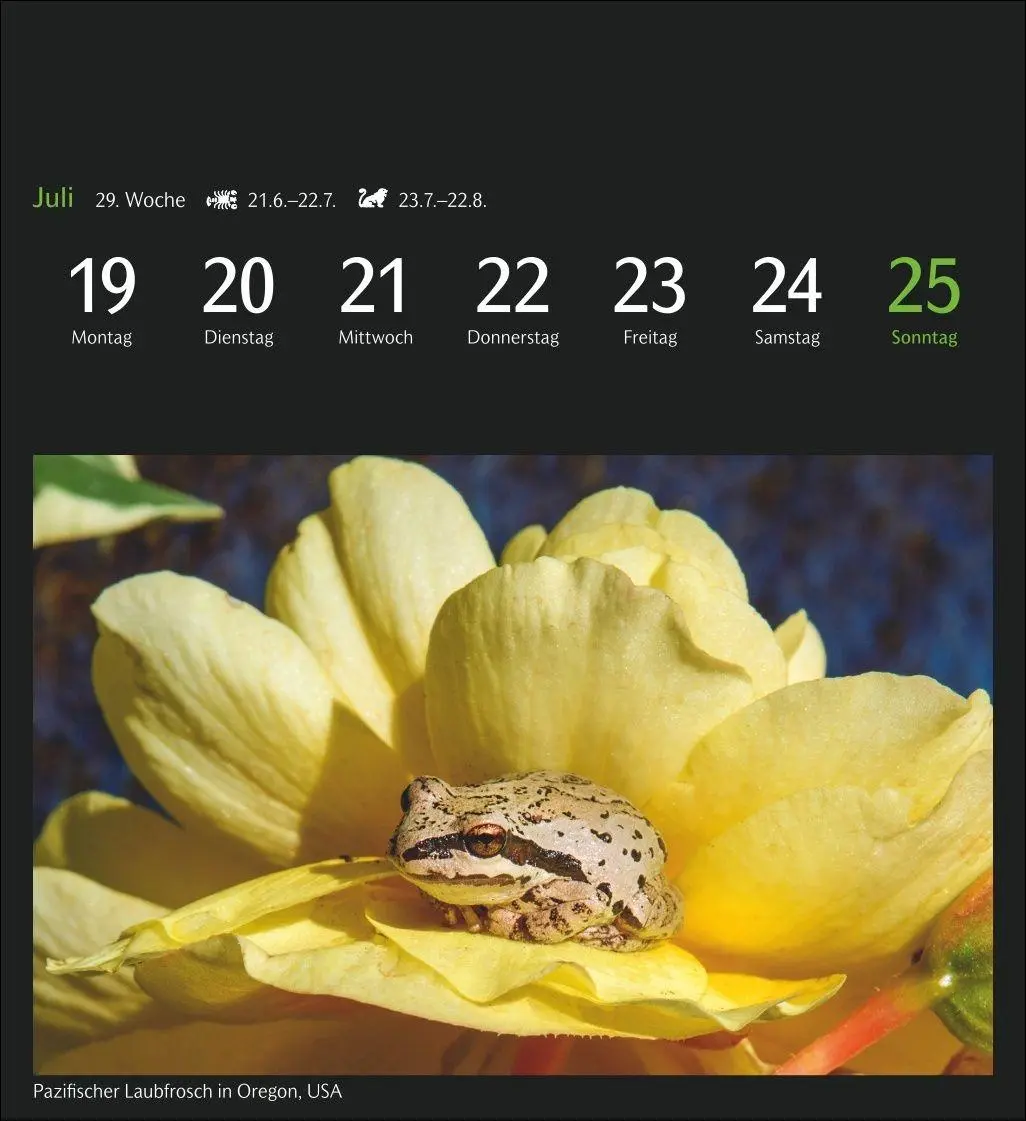 Bild: 9783840040528 | GEO Magische Natur Postkartenkalender 2027 - Wochenkalender mit 53...