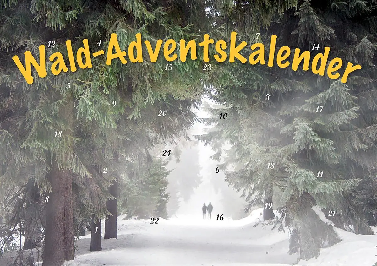 Cover: 9783967170528 | Durch den Wald im Advent | Weihnachtshaus Husum | Kalender | 1 S.