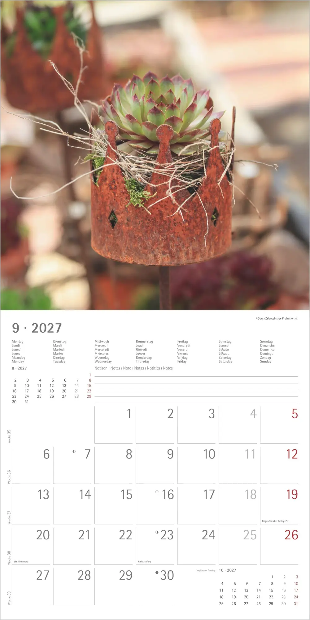 Bild: 4069095010628 | Gartendekor 2027 | Neumann Verlage GmbH &amp; Co KG | Kalender | 14 S.