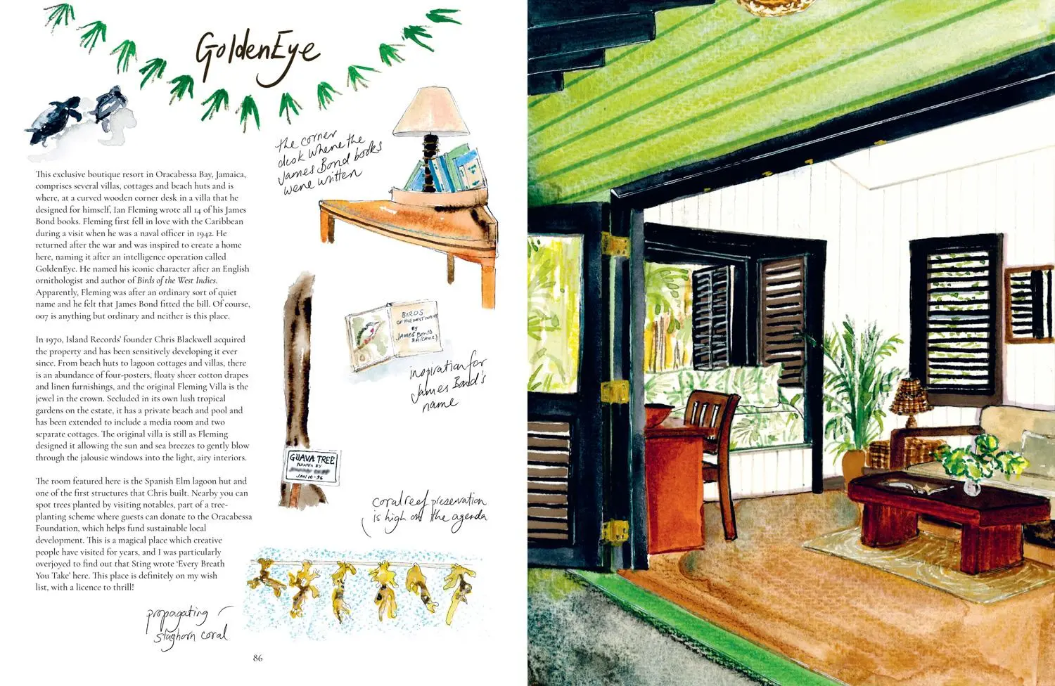 Bild: 9780008580728 | Painted Travels | Portraits of Remarkable Places | Sj Axelby | Buch