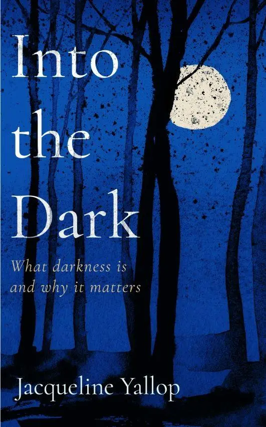 Cover: 9781837730728 | Into the Dark | What darkness is and why it matters | Yallop | Buch