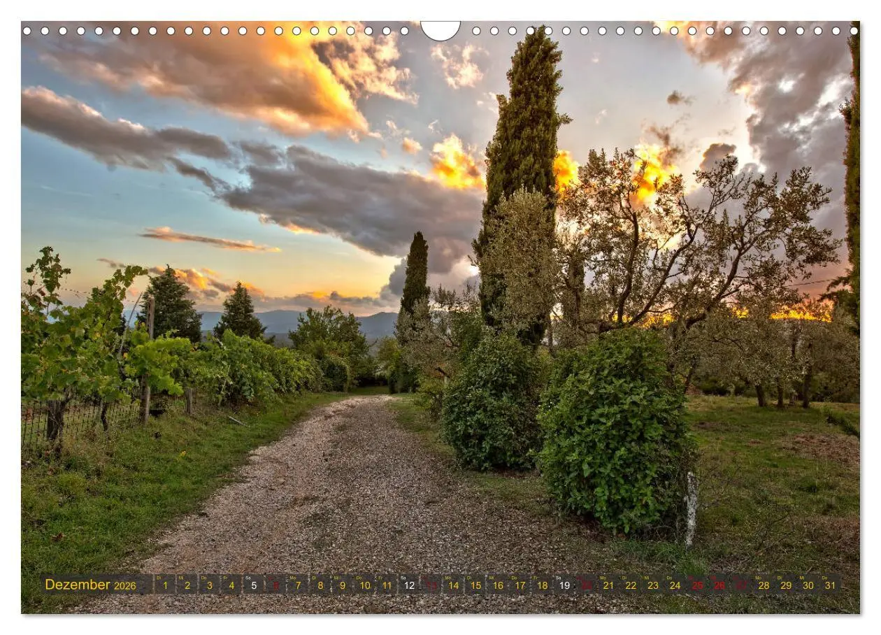 Bild: 9783457750728 | Faszination Toskana (Wandkalender 2026 DIN A3 quer), CALVENDO...