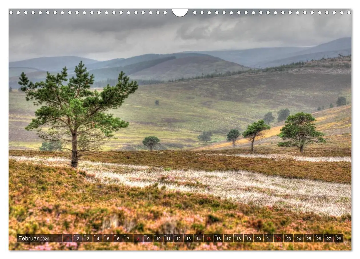 Bild: 9783516150728 | Schottland (Wandkalender 2026 DIN A3 quer), CALVENDO Monatskalender