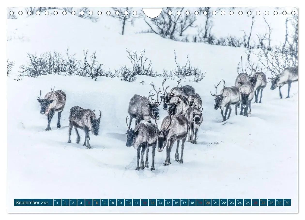 Bild: 9783457360828 | Von Tromsö nach Sommaroy - Winter in Norwegen (Wandkalender 2026...