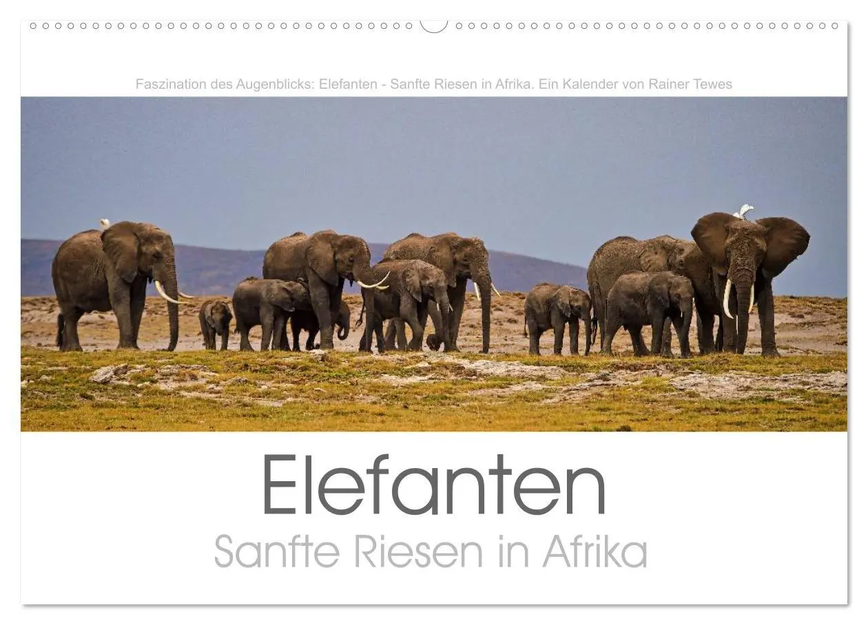 Cover: 9783457980828 | Elefanten - Sanfte Riesen in Afrika (Wandkalender 2026 DIN A2...