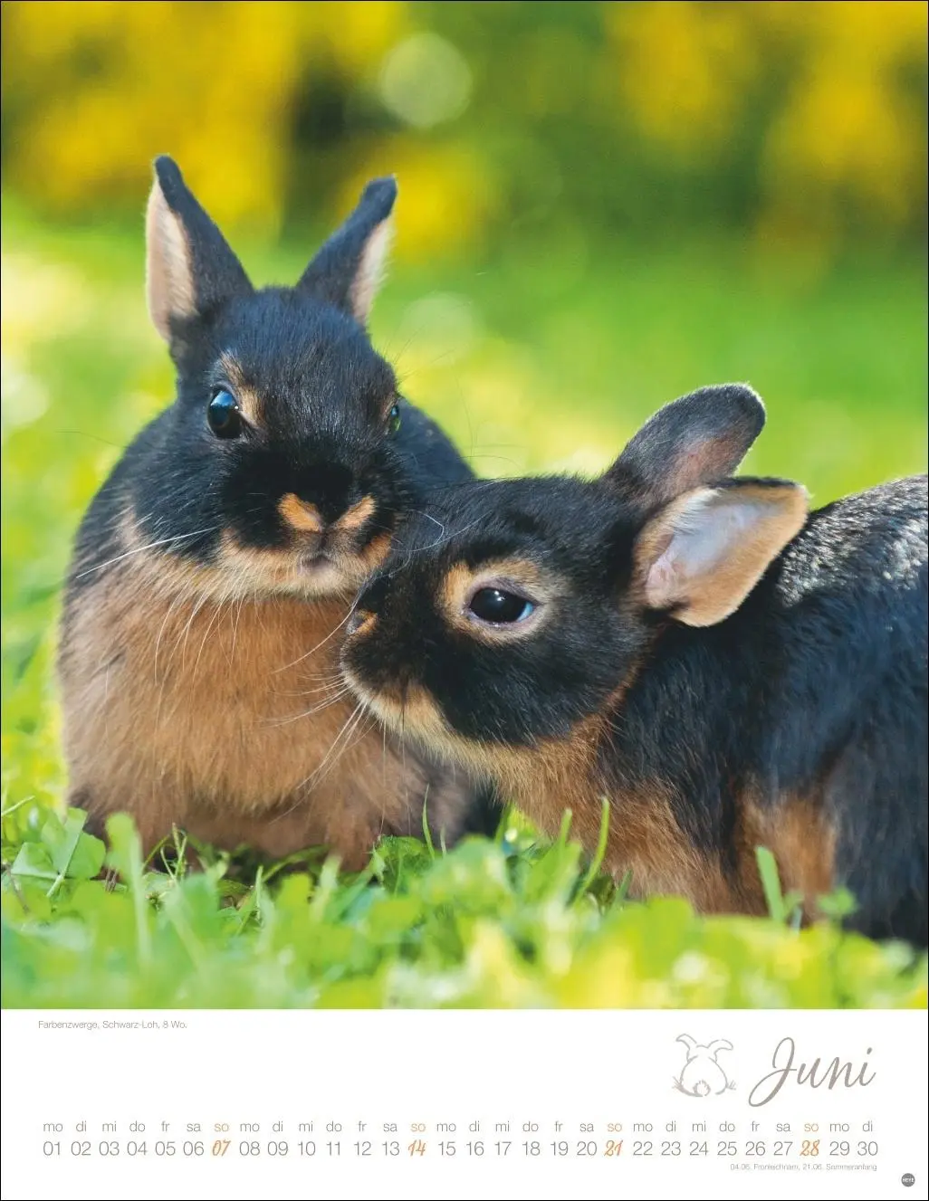 Bild: 9783756410828 | Kaninchenkinder Posterkalender 2026 | Monika Wegler | Kalender | 14 S.