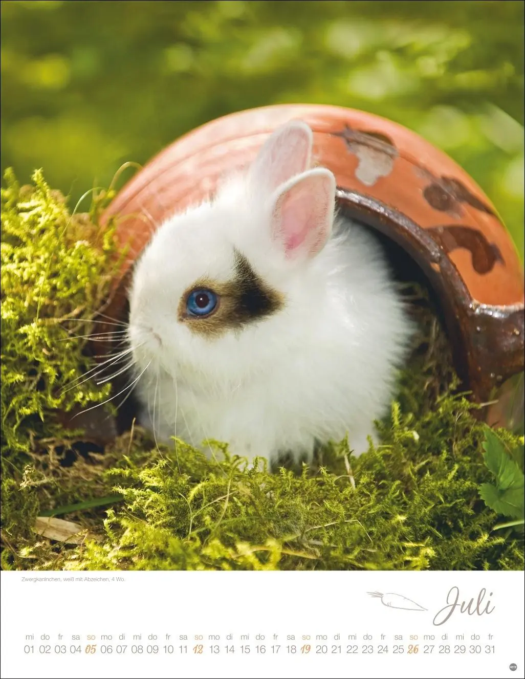 Bild: 9783756410828 | Kaninchenkinder Posterkalender 2026 | Monika Wegler | Kalender | 14 S.