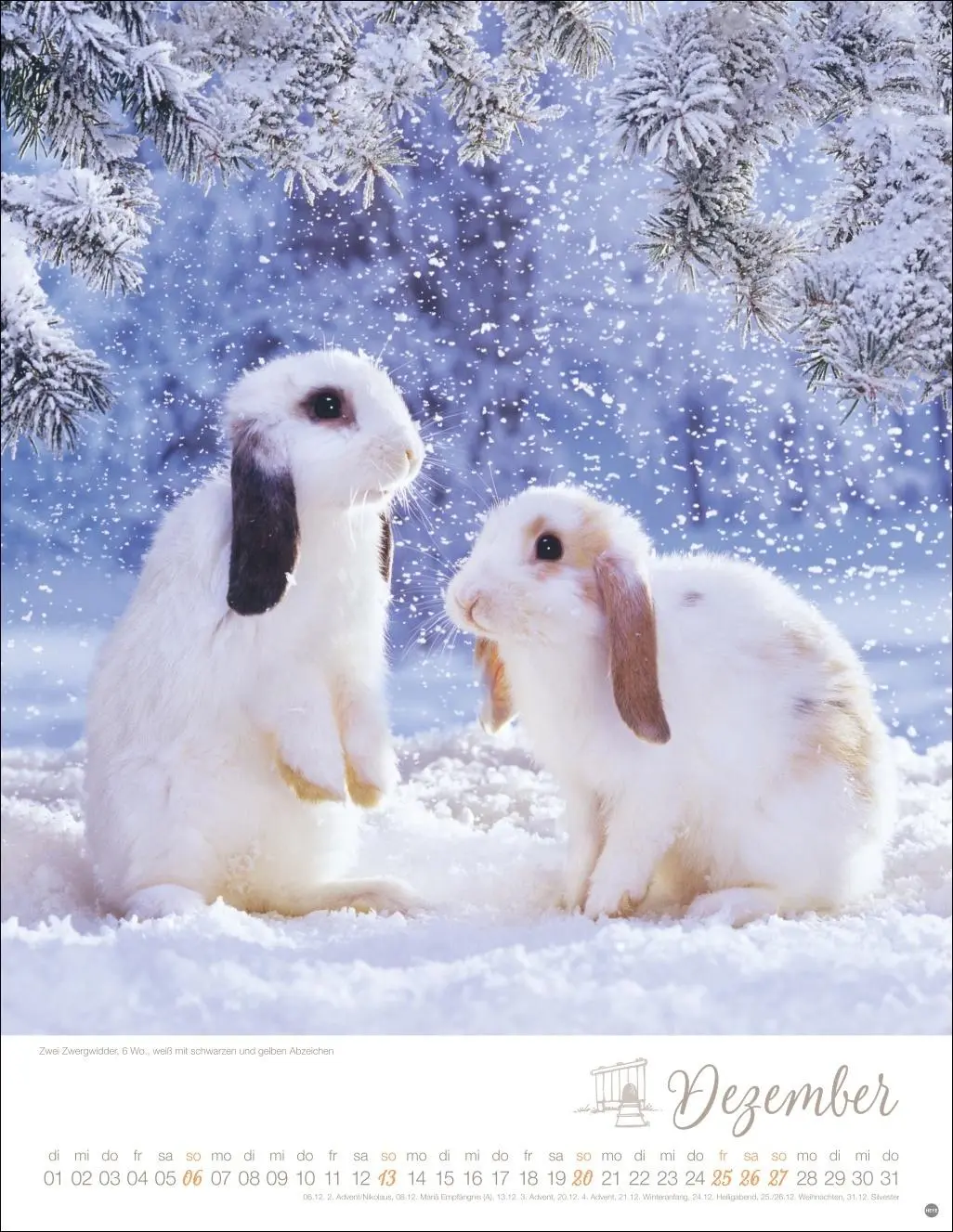 Bild: 9783756410828 | Kaninchenkinder Posterkalender 2026 | Monika Wegler | Kalender | 14 S.