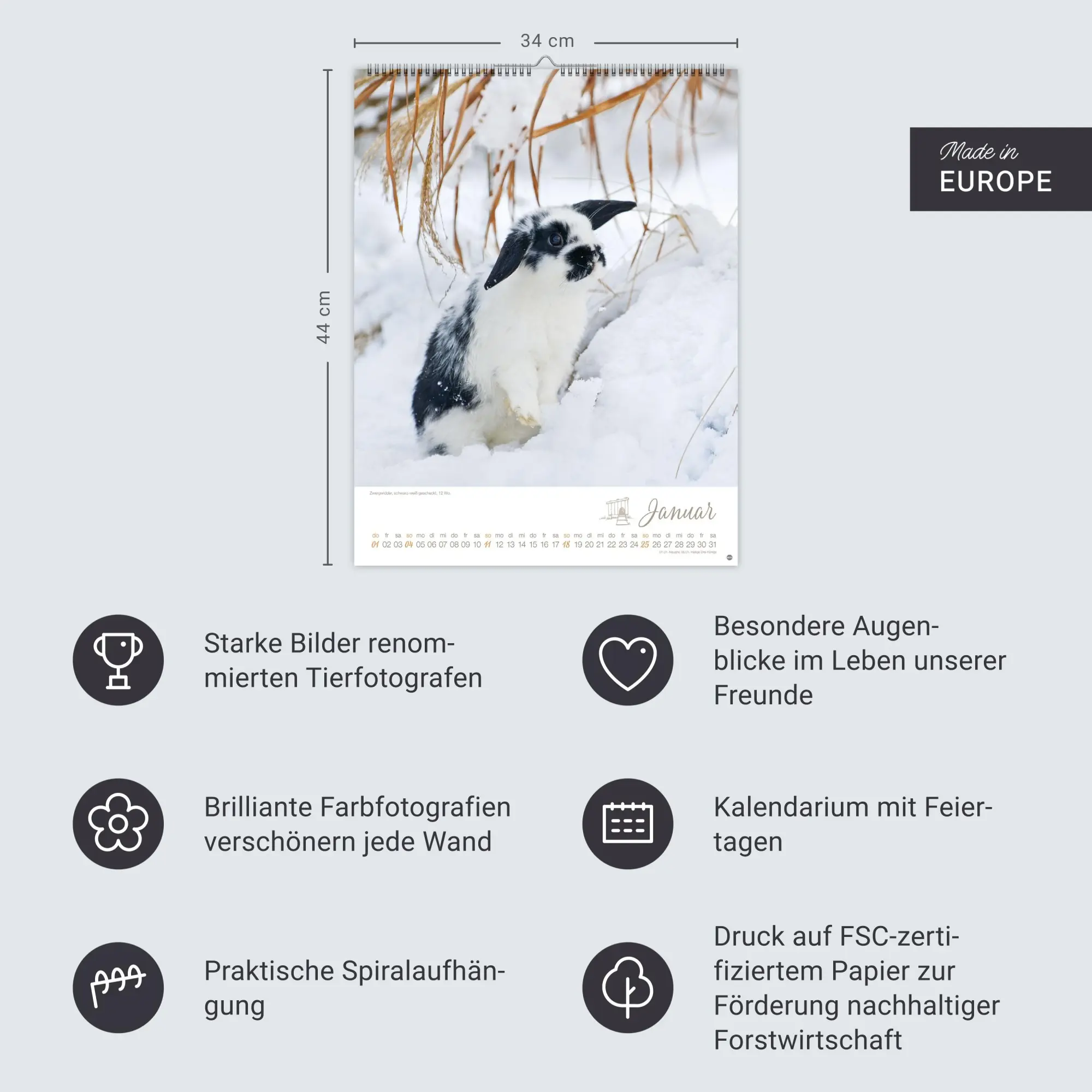 Bild: 9783756410828 | Kaninchenkinder Posterkalender 2026 | Monika Wegler | Kalender | 14 S.