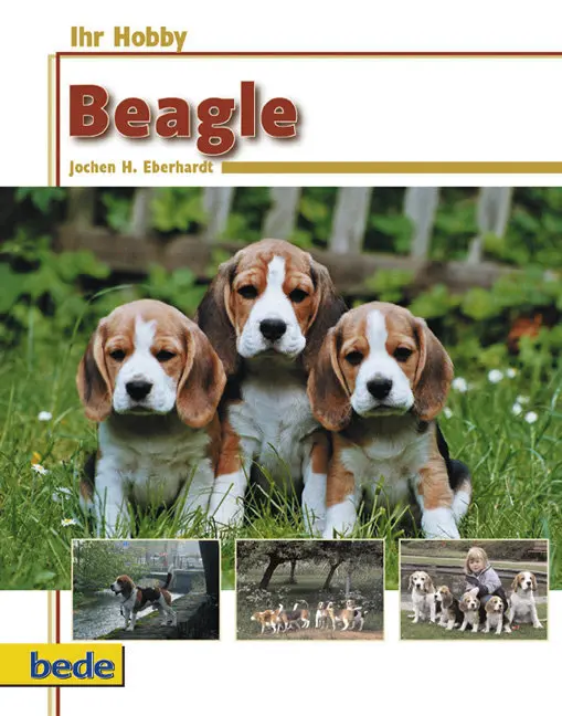 Cover: 9783898600828 | Ihr Hobby Beagle | Jochen H. Eberhardt | Buch | 120 S. | Deutsch