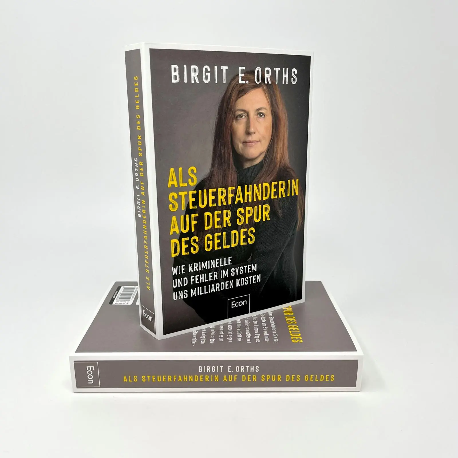 Bild: 9783430210928 | Als Steuerfahnderin auf der Spur des Geldes | Birgit E. Orths | Buch