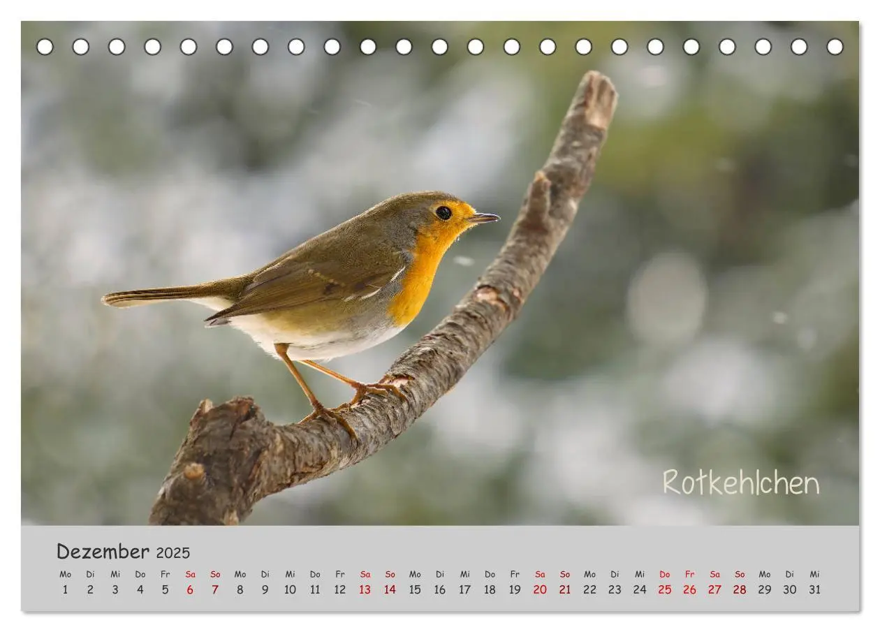 Bild: 9783435260928 | Mit Piepmätzen durch das Jahr ... (Tischkalender 2025 DIN A5 quer),...