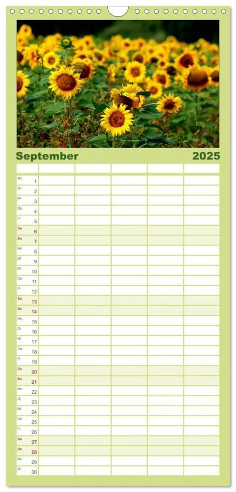 Bild: 9783457110928 | Familienplaner 2025 - Sonnenblumen mit 5 Spalten (Wandkalender, 21...