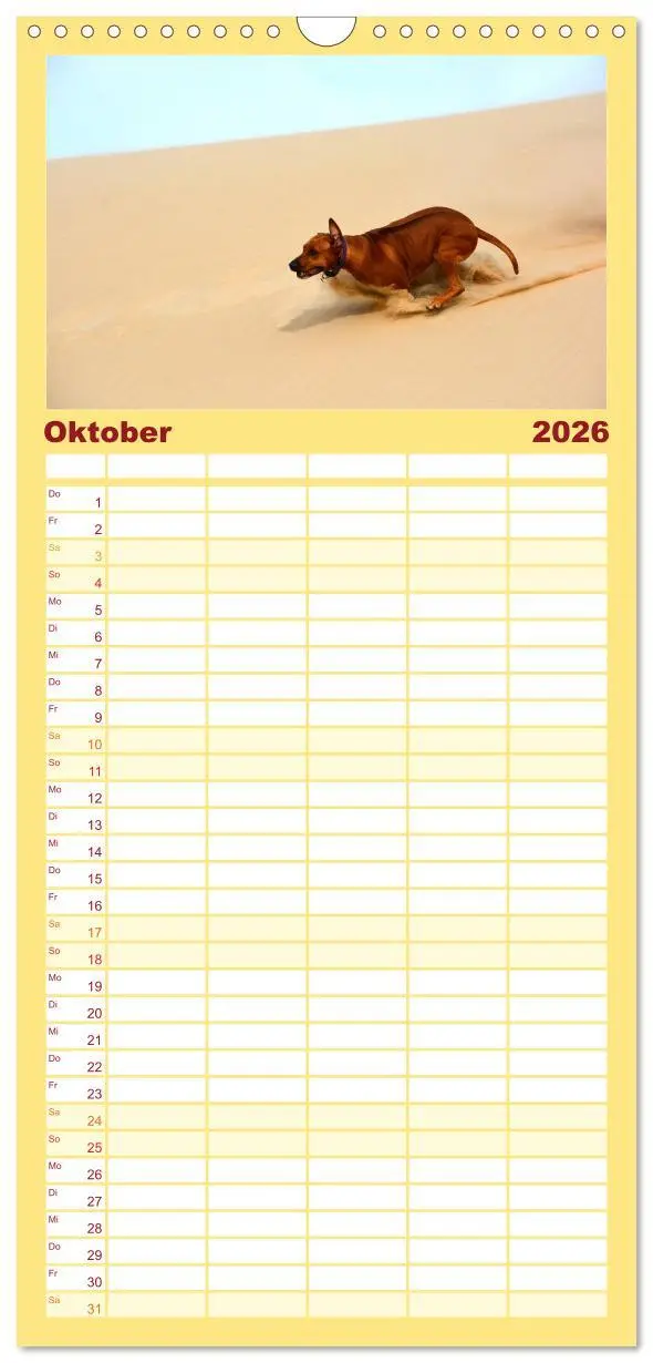 Bild: 9783516510928 | Familienplaner 2026 - Rhodesian Ridgeback Terminkalender mit 5...