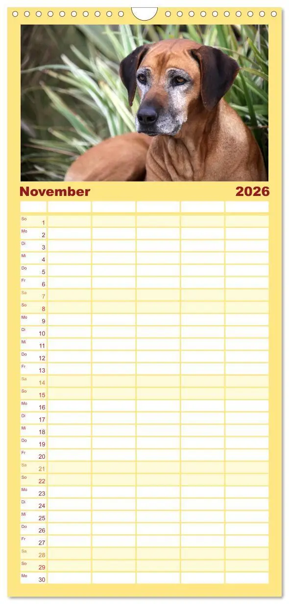 Bild: 9783516510928 | Familienplaner 2026 - Rhodesian Ridgeback Terminkalender mit 5...