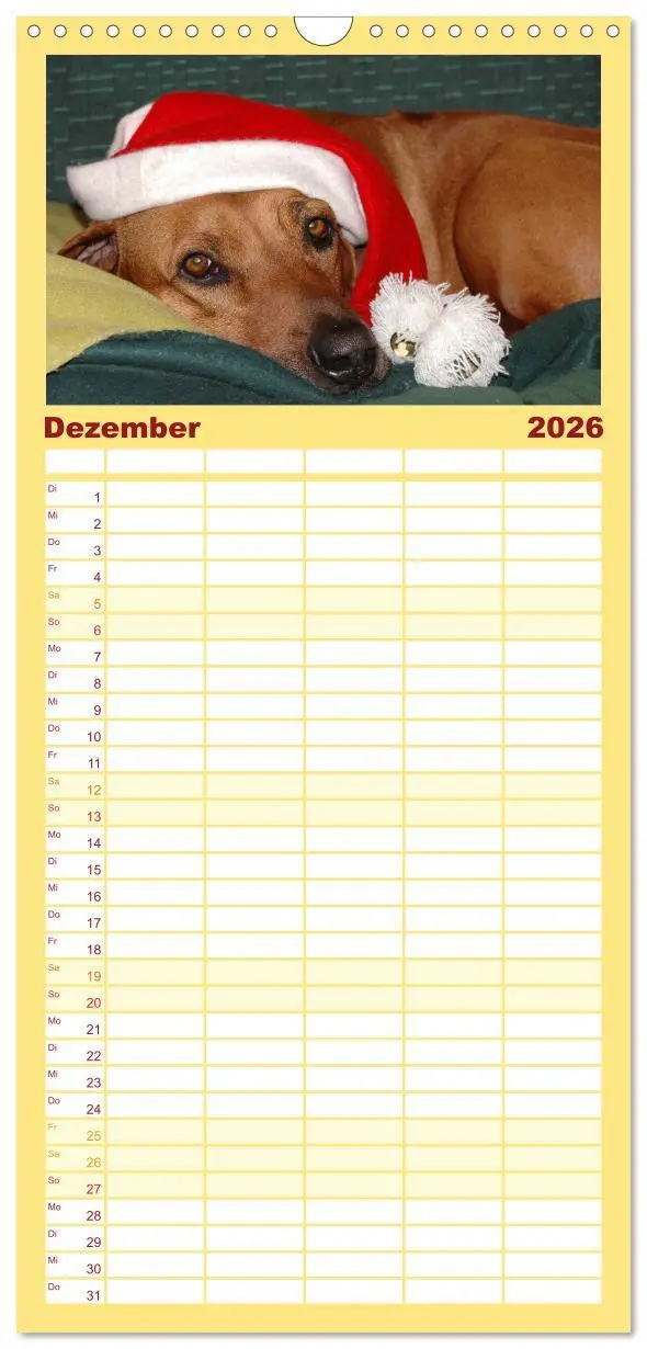 Bild: 9783516510928 | Familienplaner 2026 - Rhodesian Ridgeback Terminkalender mit 5...
