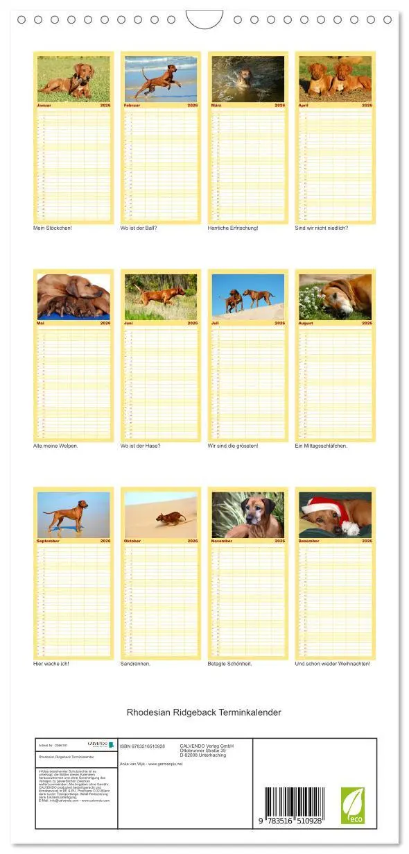 Bild: 9783516510928 | Familienplaner 2026 - Rhodesian Ridgeback Terminkalender mit 5...