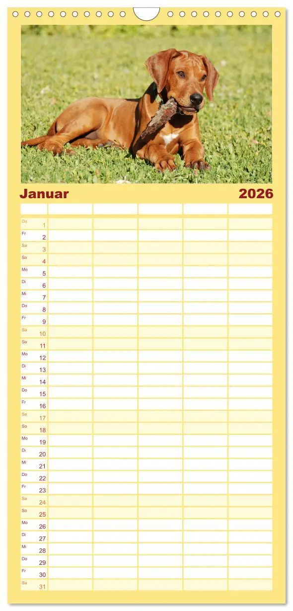 Bild: 9783516510928 | Familienplaner 2026 - Rhodesian Ridgeback Terminkalender mit 5...