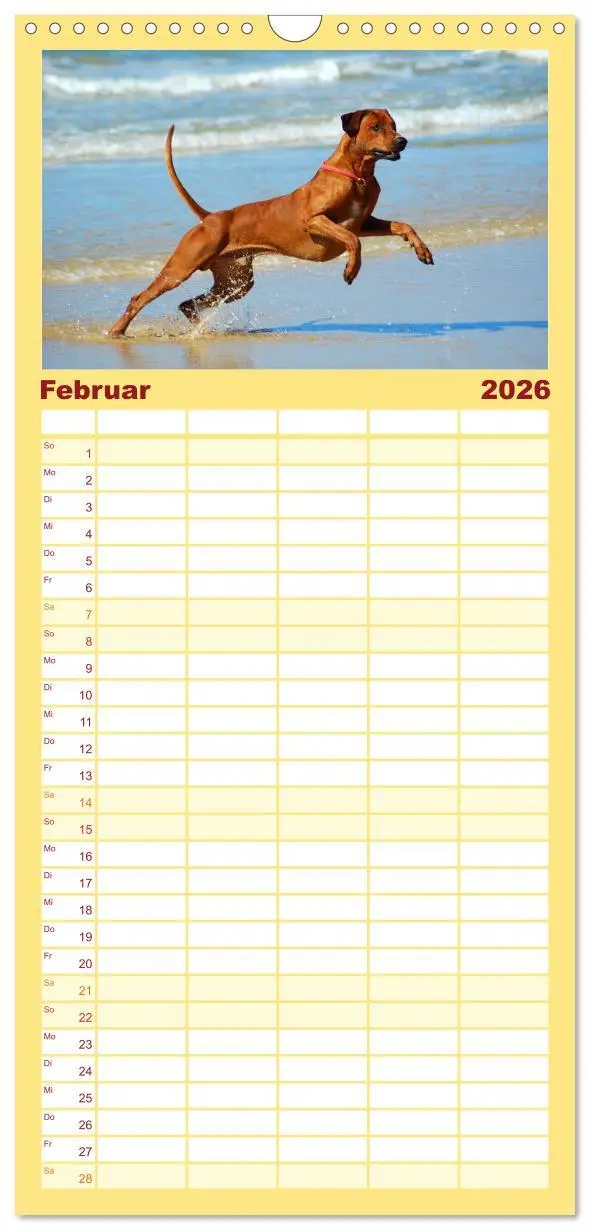 Bild: 9783516510928 | Familienplaner 2026 - Rhodesian Ridgeback Terminkalender mit 5...