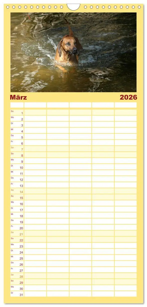 Bild: 9783516510928 | Familienplaner 2026 - Rhodesian Ridgeback Terminkalender mit 5...