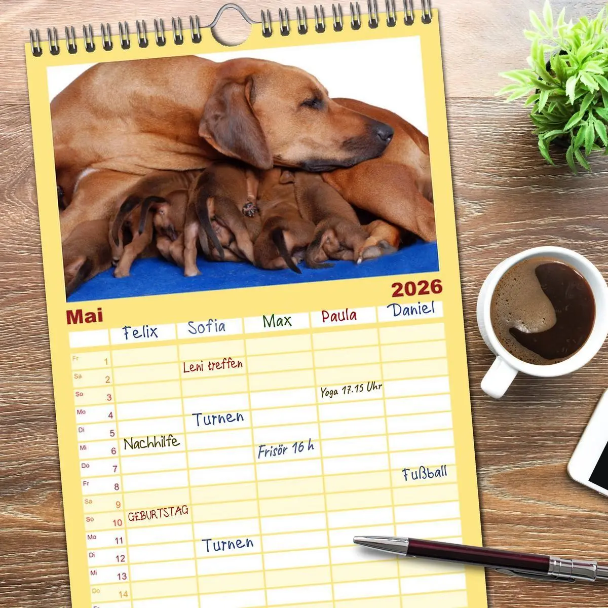 Bild: 9783516510928 | Familienplaner 2026 - Rhodesian Ridgeback Terminkalender mit 5...
