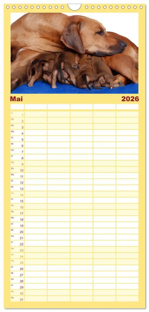 Bild: 9783516510928 | Familienplaner 2026 - Rhodesian Ridgeback Terminkalender mit 5...