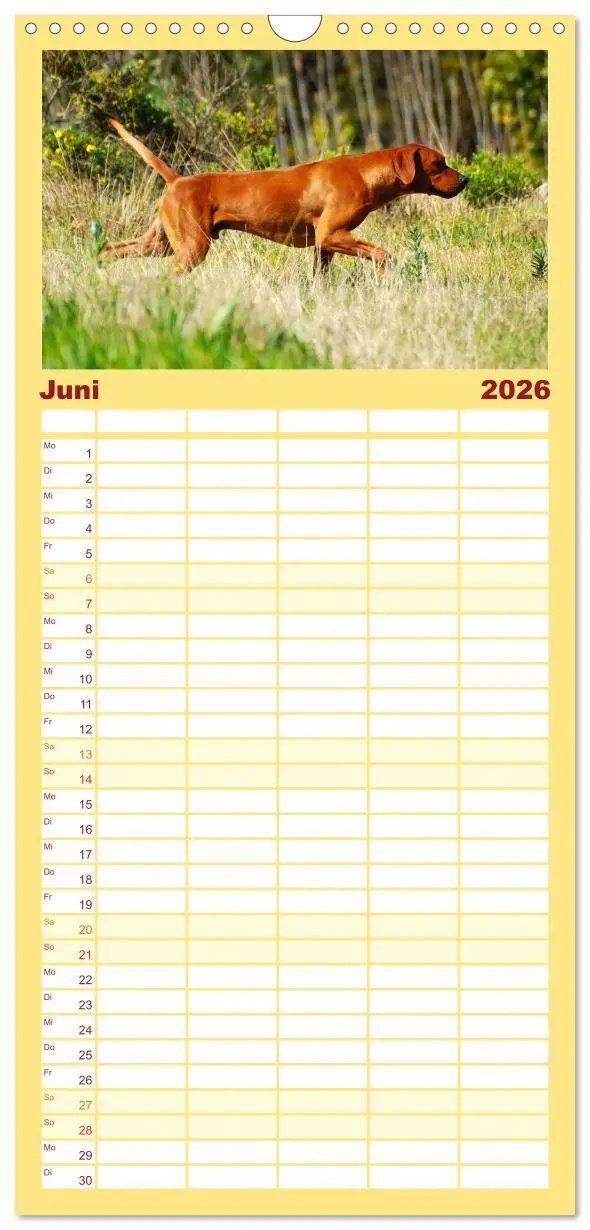 Bild: 9783516510928 | Familienplaner 2026 - Rhodesian Ridgeback Terminkalender mit 5...