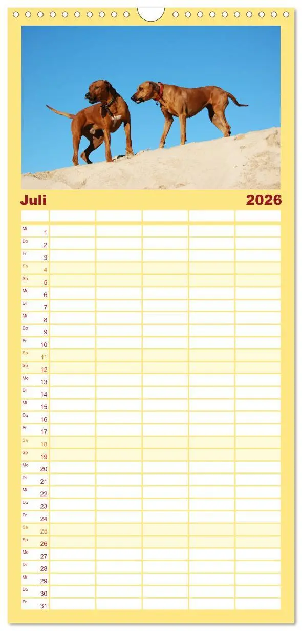 Bild: 9783516510928 | Familienplaner 2026 - Rhodesian Ridgeback Terminkalender mit 5...