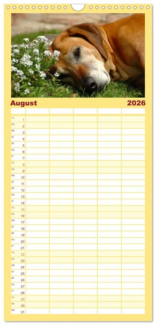 Bild: 9783516510928 | Familienplaner 2026 - Rhodesian Ridgeback Terminkalender mit 5...