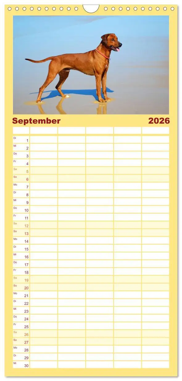 Bild: 9783516510928 | Familienplaner 2026 - Rhodesian Ridgeback Terminkalender mit 5...