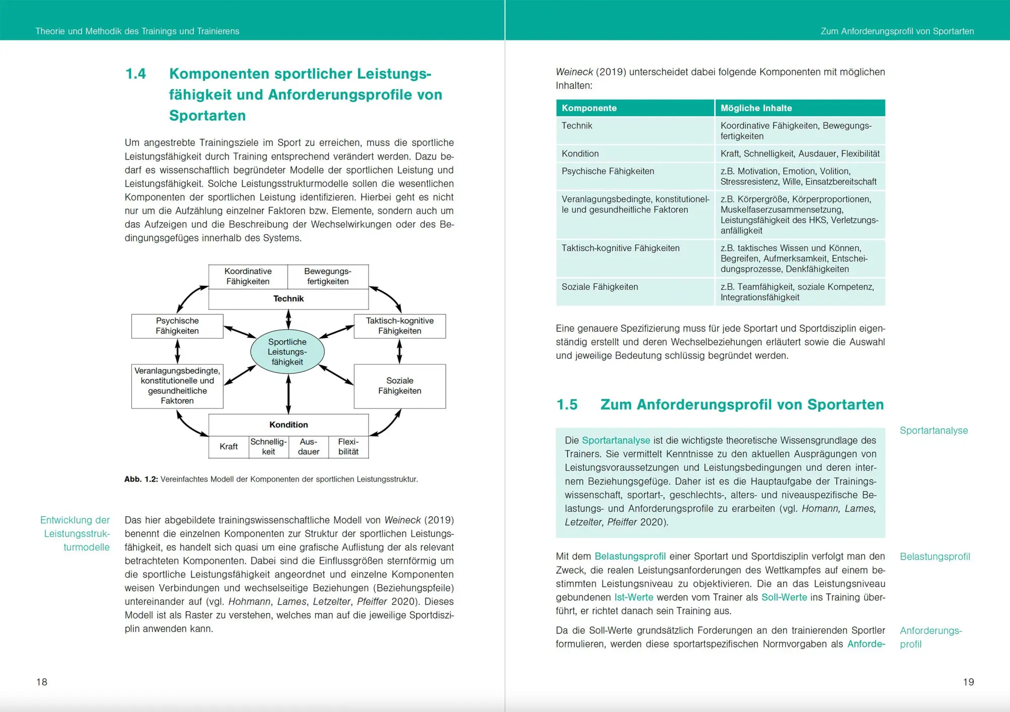 Bild: 9783964160928 | Optimales Sportwissen | Grundlagen der Sporttheorie und Sportpraxis