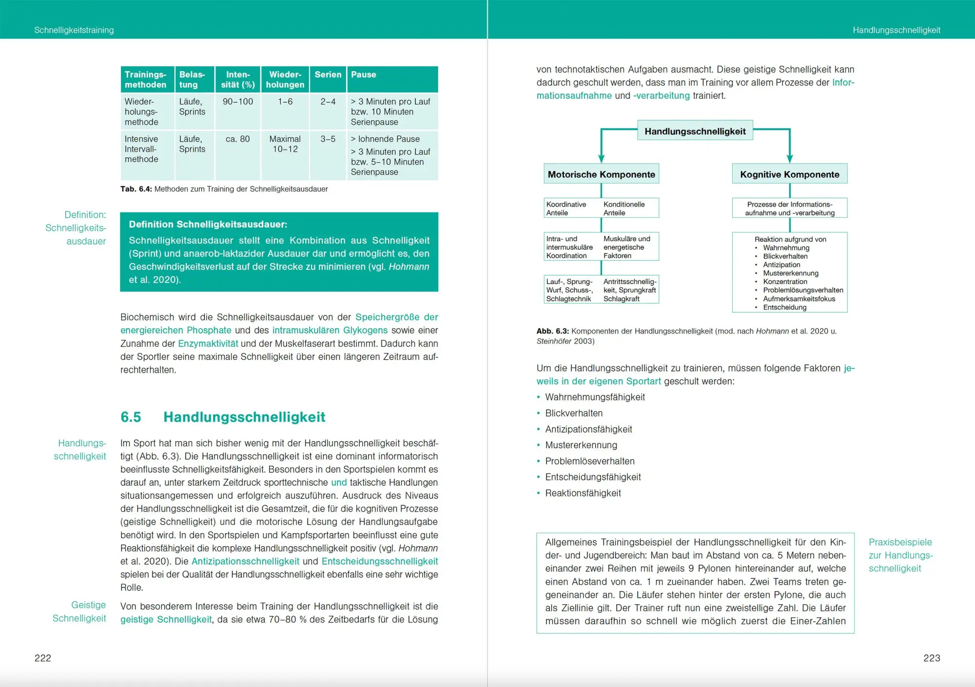 Bild: 9783964160928 | Optimales Sportwissen | Grundlagen der Sporttheorie und Sportpraxis