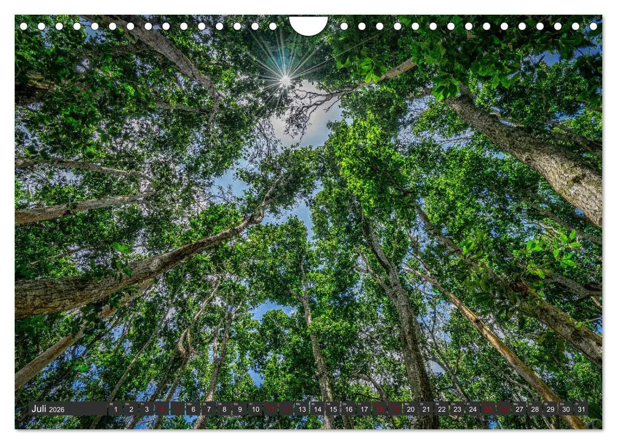 Bild: 9783457861028 | Karibu Sansibar (Wandkalender 2026 DIN A4 quer), CALVENDO...