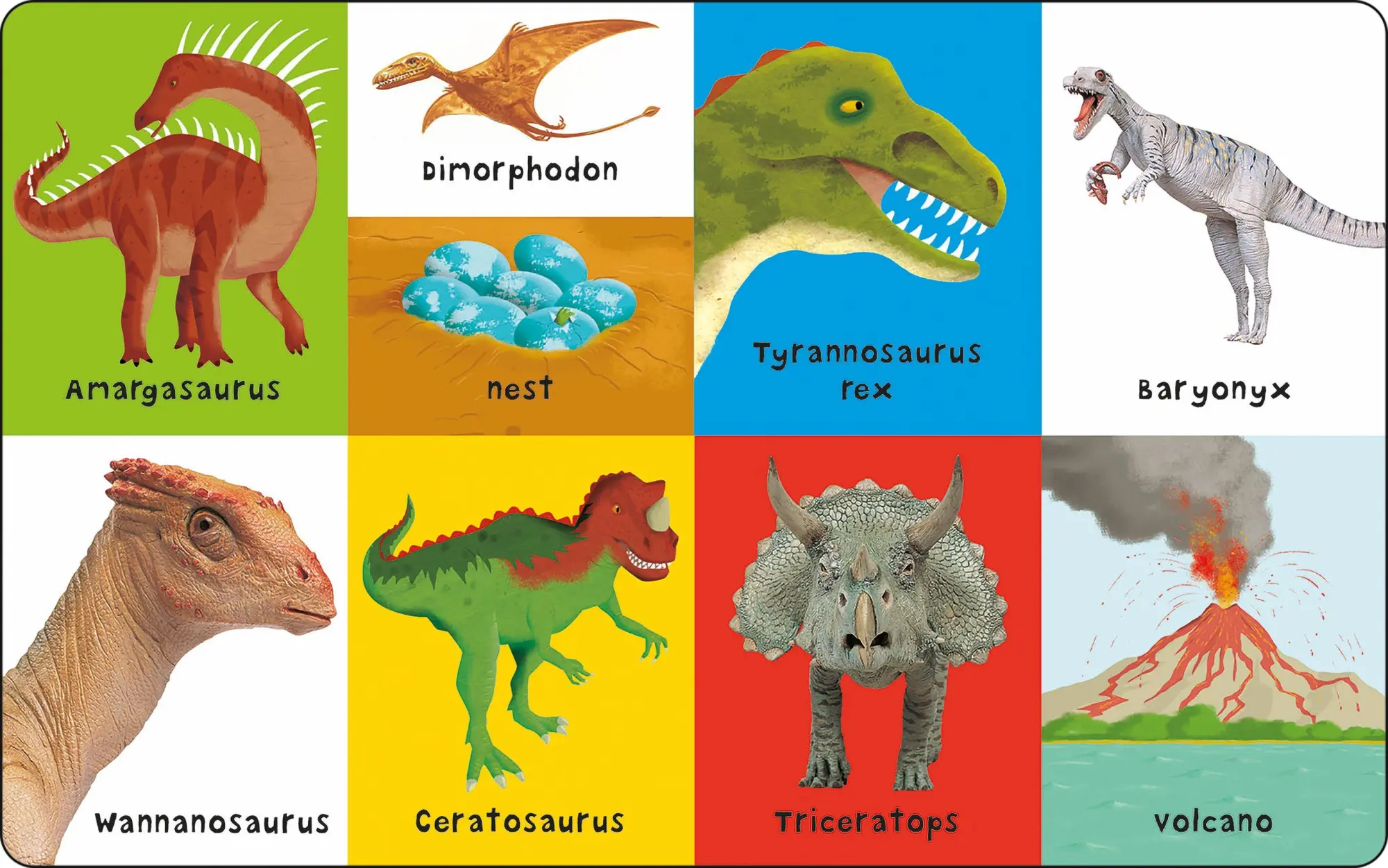 Bild: 9781838991128 | First 100 Dinosaurs | Priddy Books (u. a.) | Buch | Papp-Bilderbuch