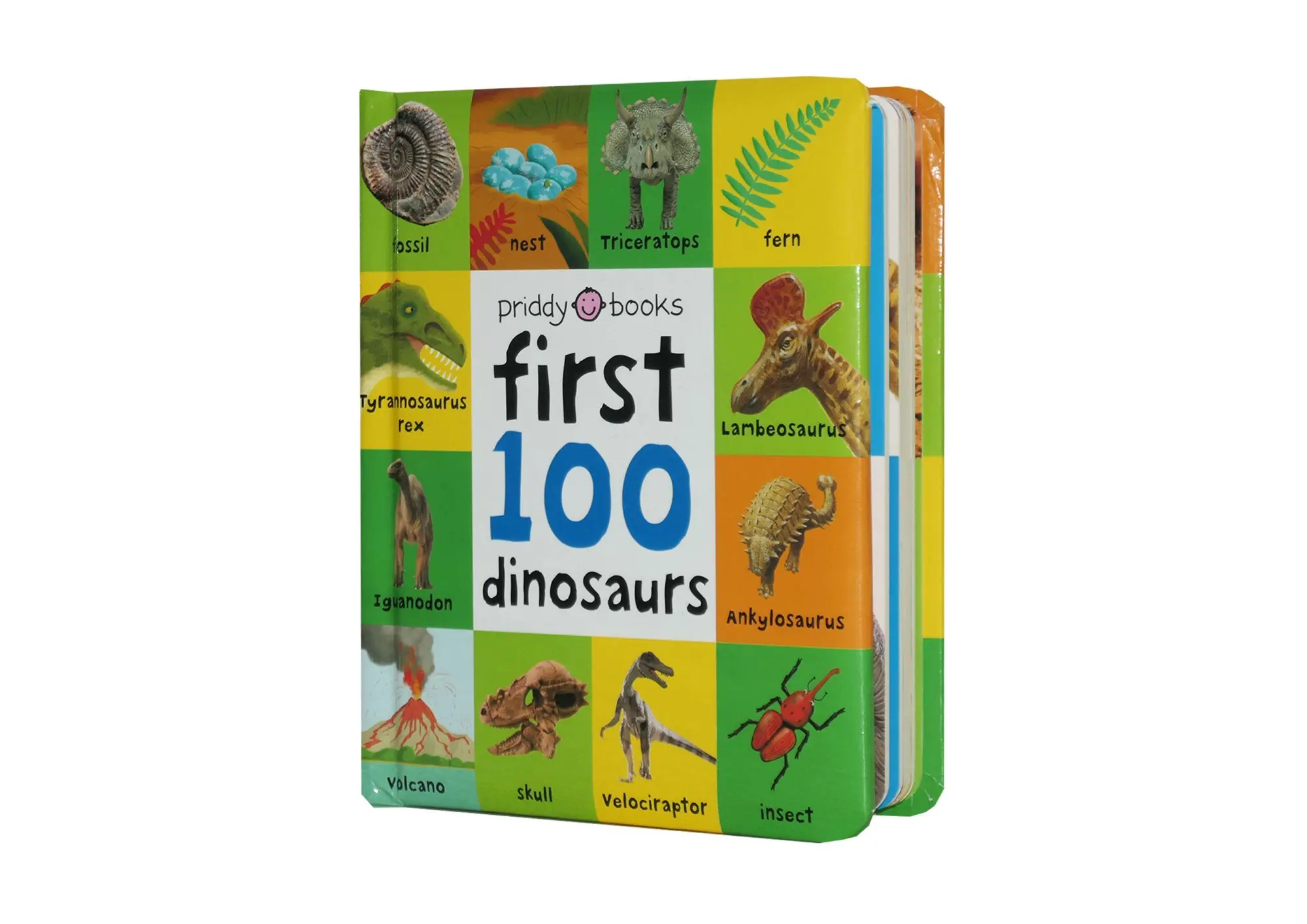 Bild: 9781838991128 | First 100 Dinosaurs | Priddy Books (u. a.) | Buch | Papp-Bilderbuch
