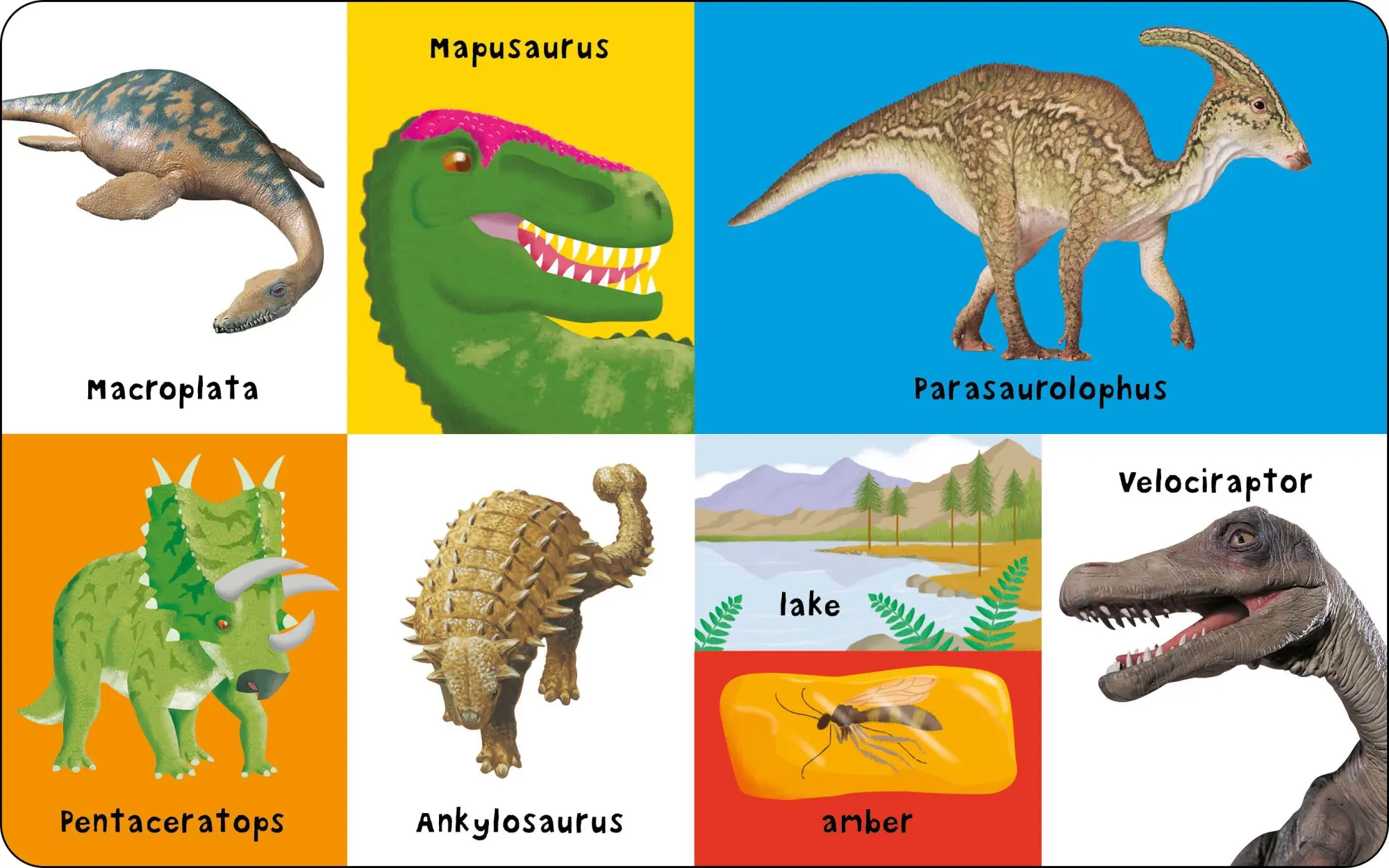 Bild: 9781838991128 | First 100 Dinosaurs | Priddy Books (u. a.) | Buch | Papp-Bilderbuch