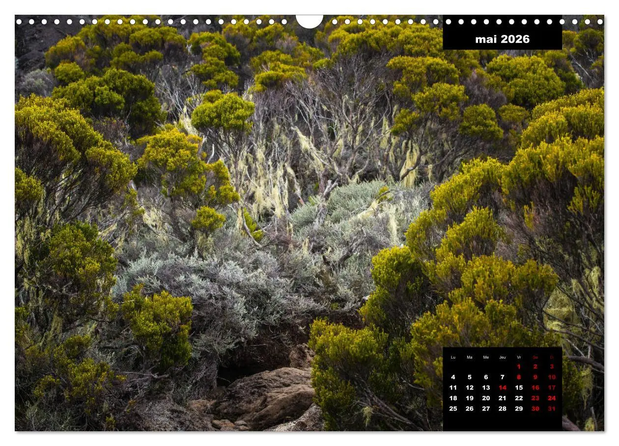 Bild: 9783516561128 | Paysages de l'île de La Réunion (Calendrier mural 2026 DIN A3...