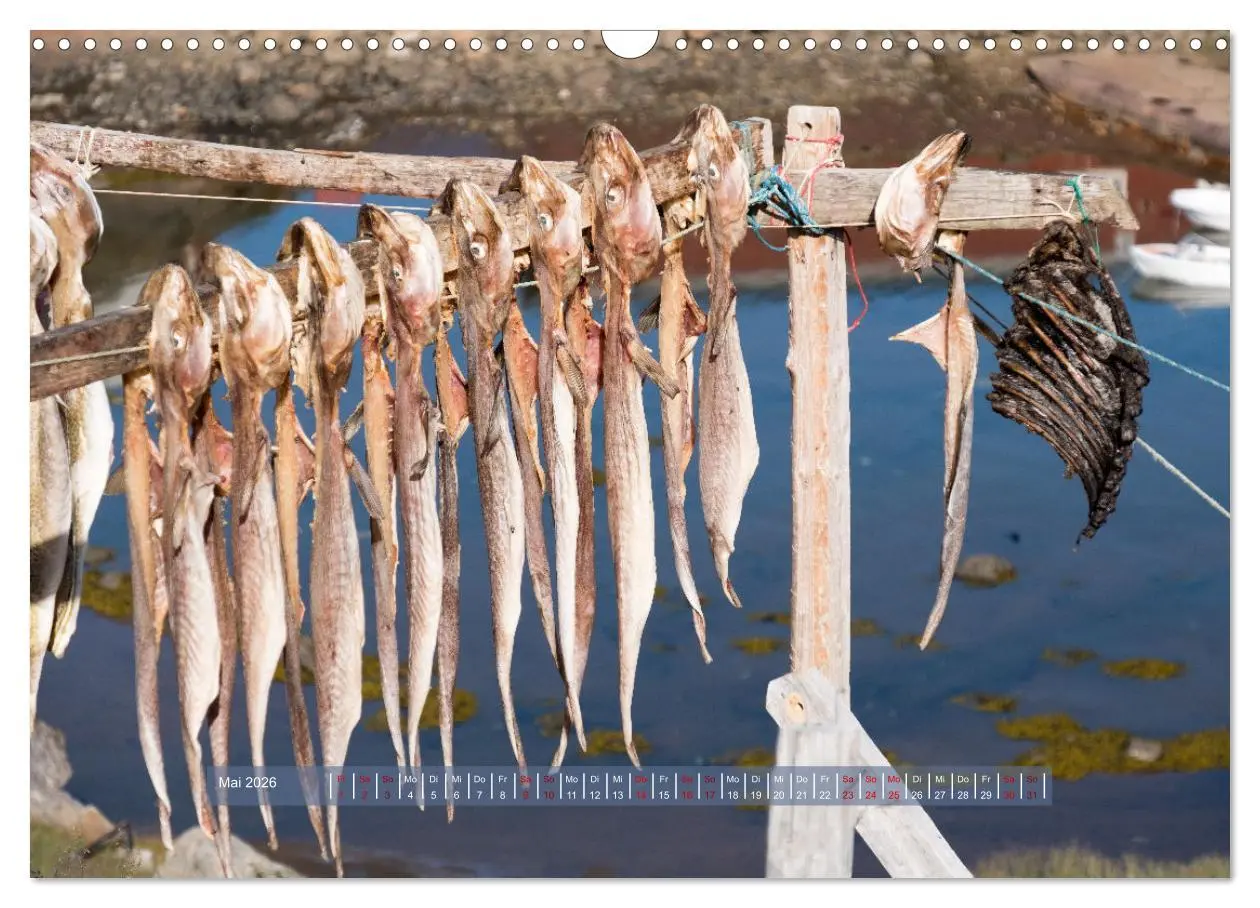 Bild: 9783457911228 | Tasiilaq - Ein kurzer Sommer in Ostgrönland (Wandkalender 2026 DIN...