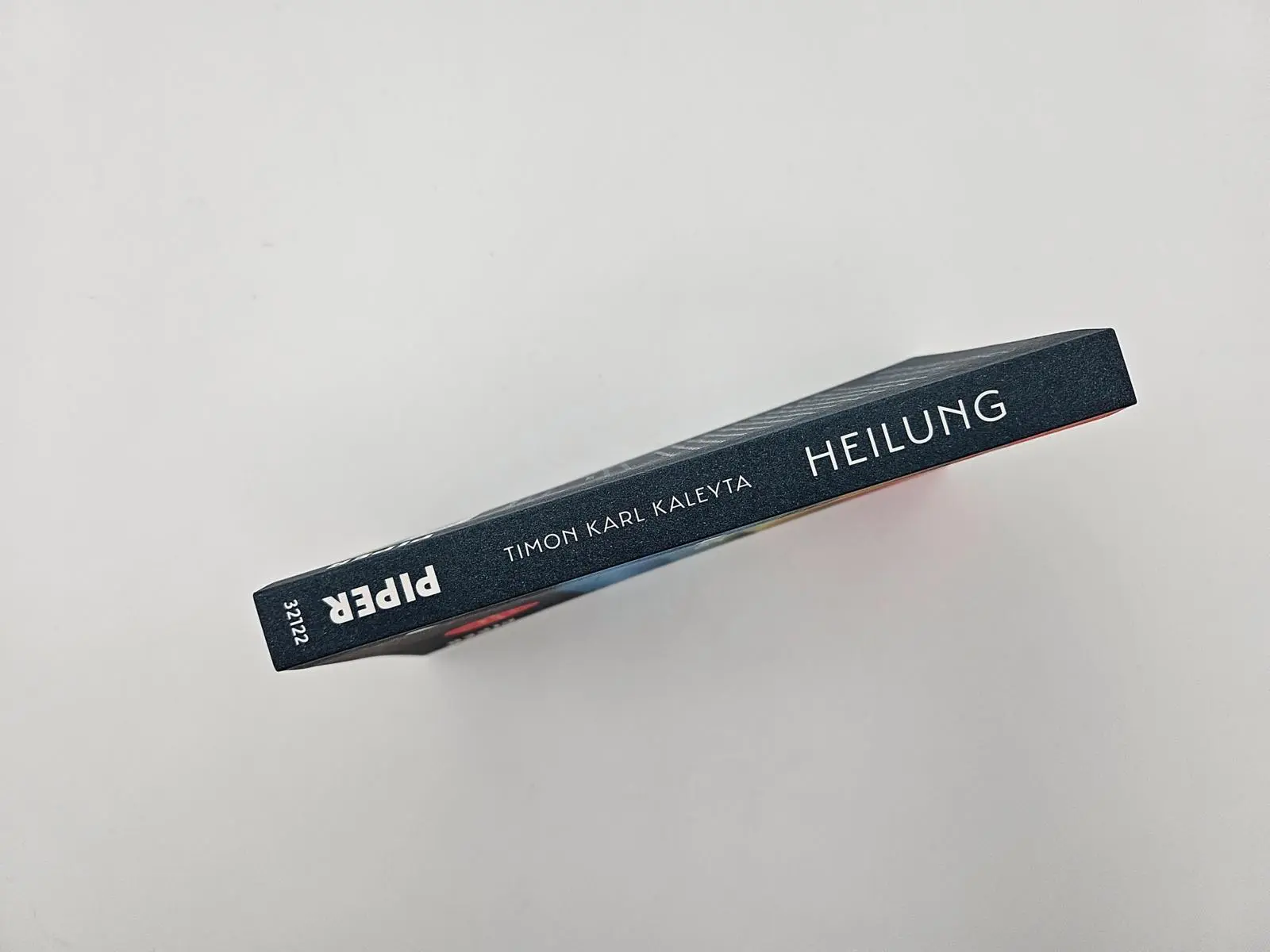 Bild: 9783492321228 | Heilung | Roman 'Der beste Roman des Frühjahrs' - DIE ZEIT | Kaleyta