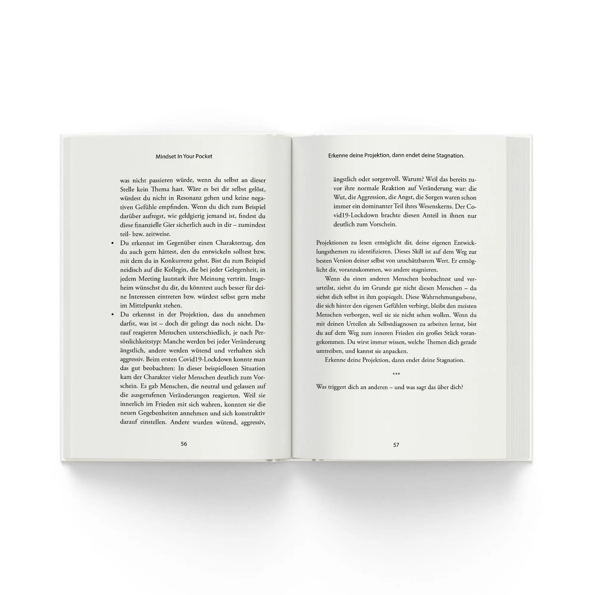 Bild: 9783689361228 | Meistere dein Mindset | Christian Bischoff | Taschenbuch | 164 S.