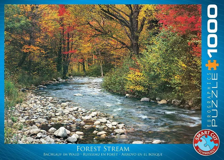 Bild: 628136621328 | Forest Stream (Puzzle) | Spiel | In Spielebox | 6000-2132 | 2023
