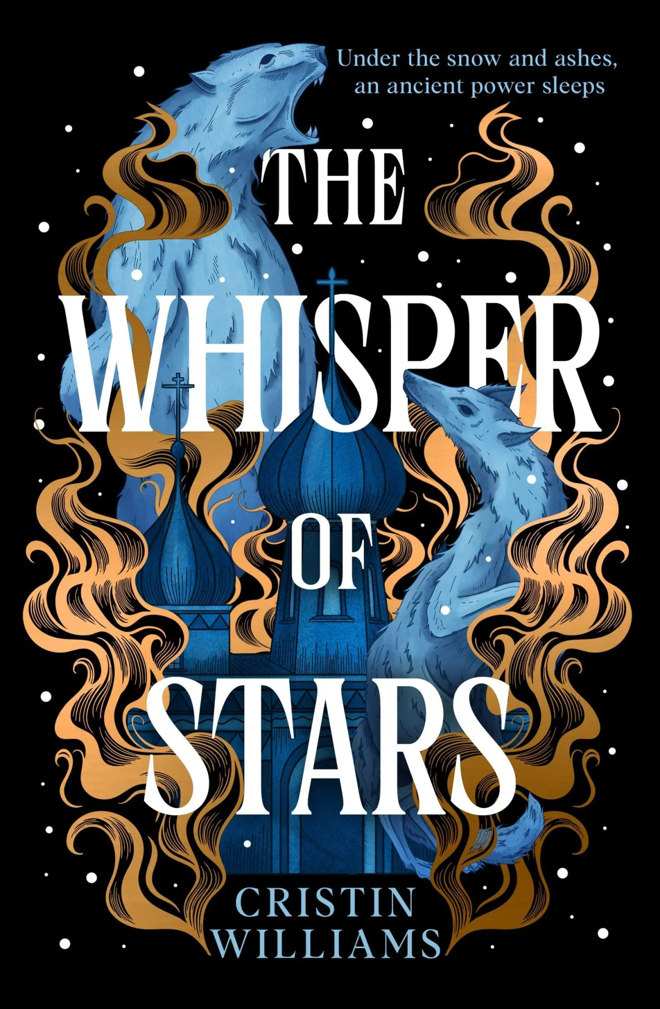 Cover: 9781399621328 | The Whisper of Stars | Cristin Williams | Taschenbuch | Paperback